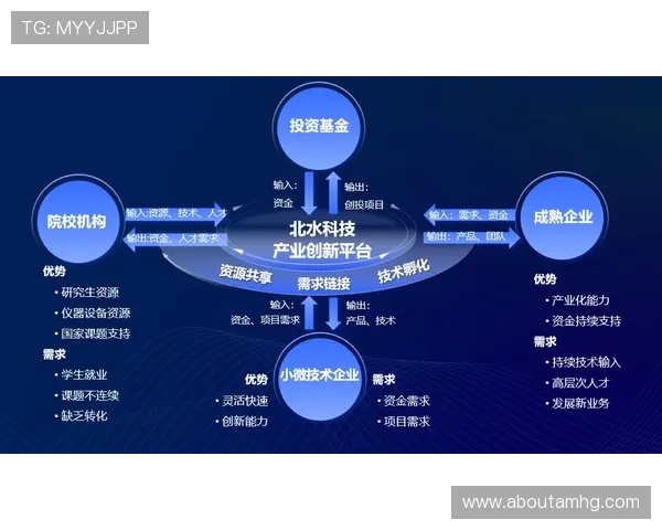 皇冠国际未来发展战略规划，打造行业领先的创新平台