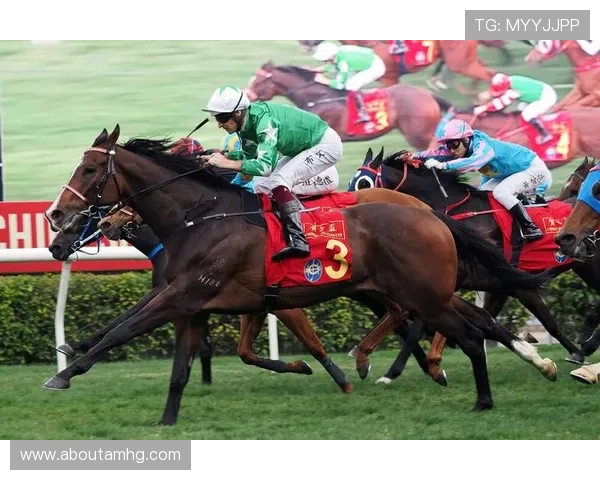 hkjc app正规官网：香港赛马会官方应用的功能特色与使用技巧全面解析